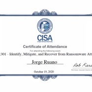 CISA IMR 301